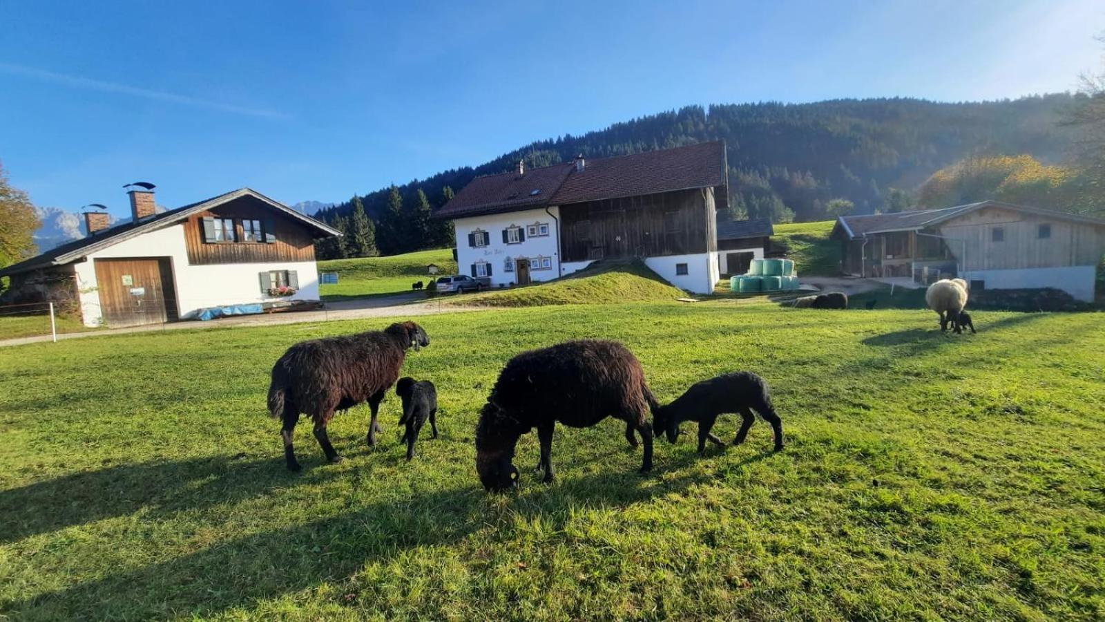 Bauernhaus Jocher Krün Eksteriør bilde